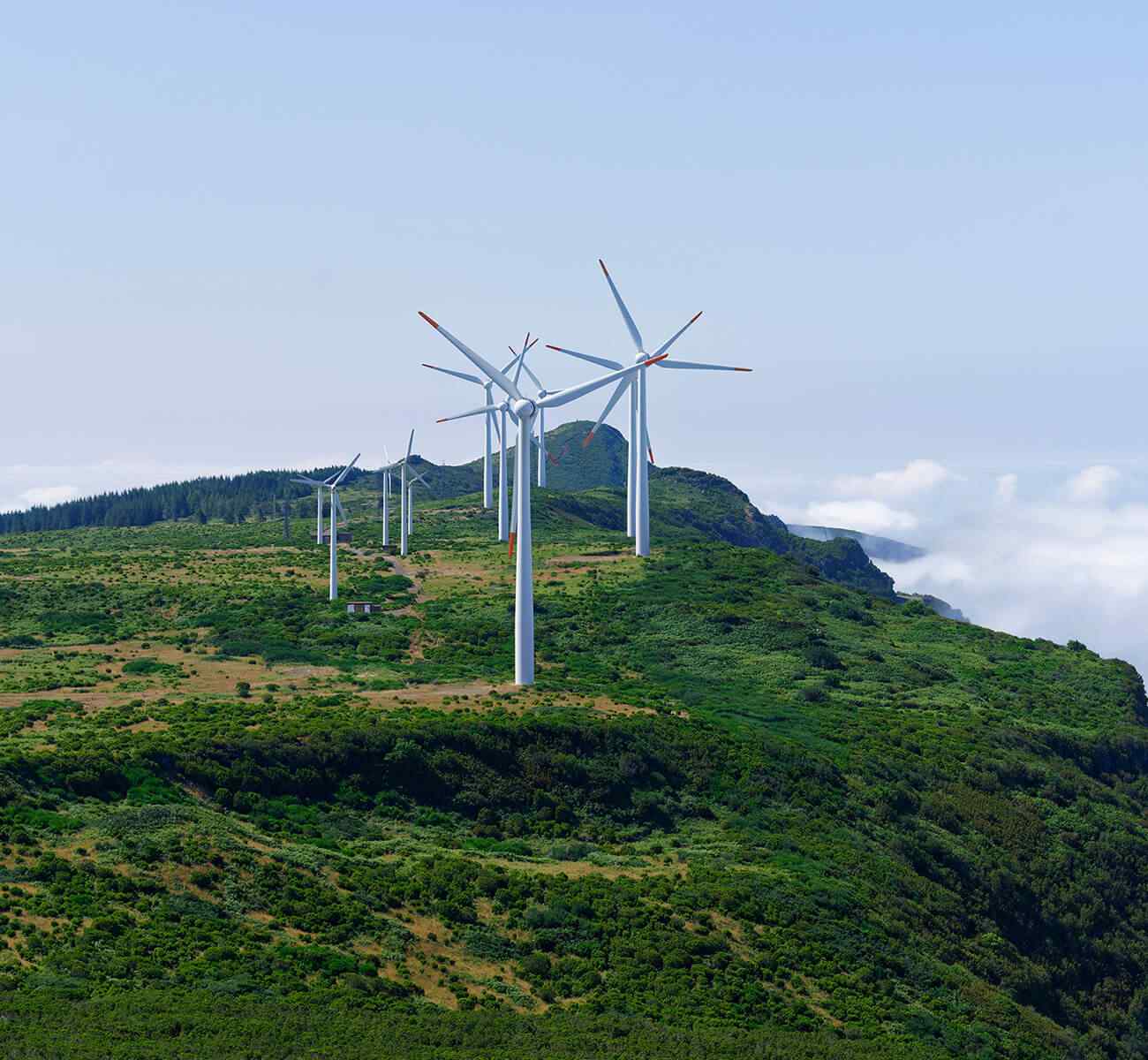 inner_image_03 https://goldrecaustralia.com.au/wp-content/uploads/2022/02/inner_image_03.jpg