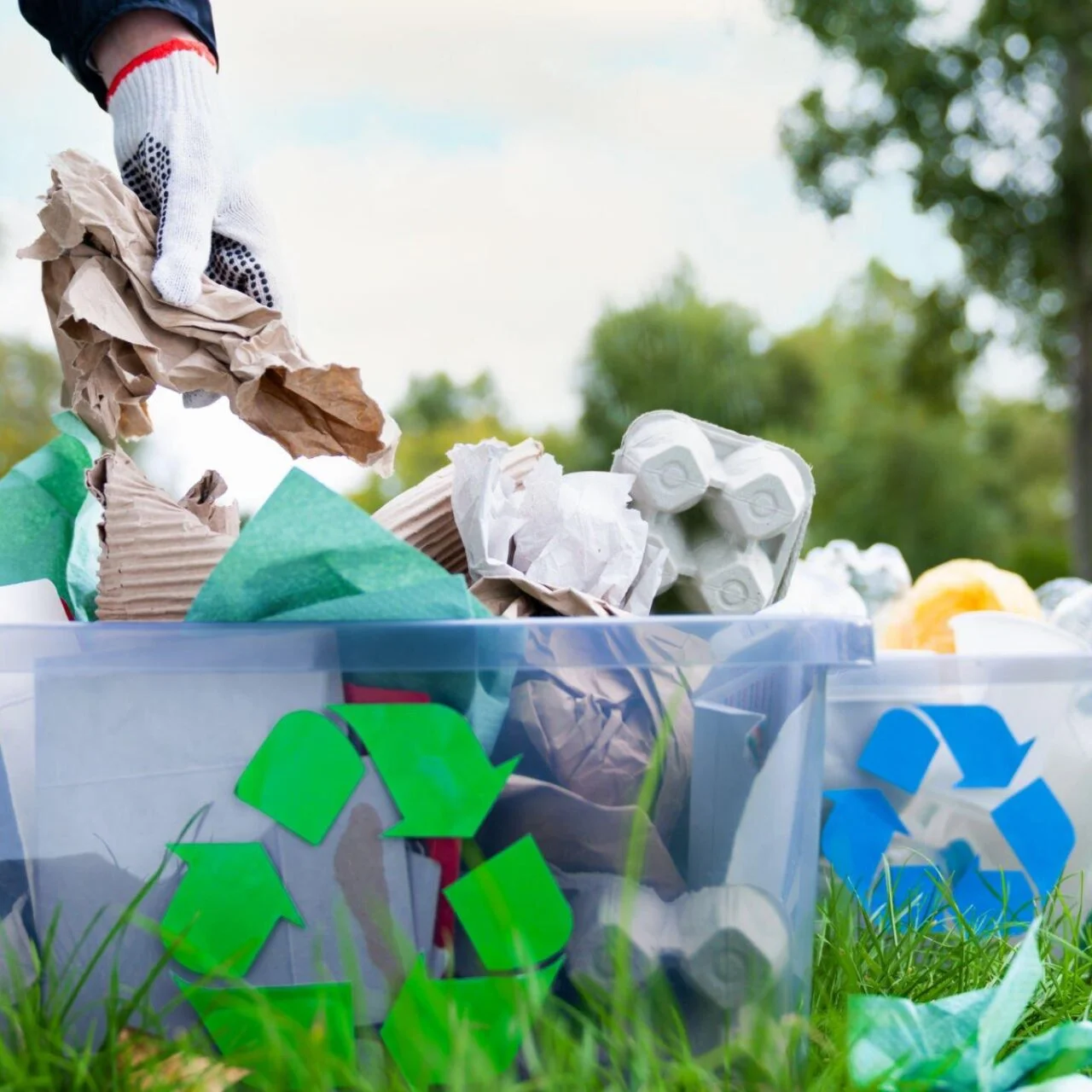 The Plastic Waste Challenge